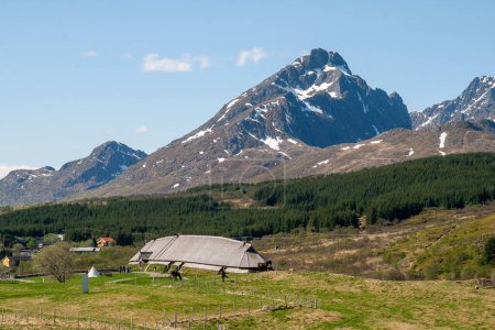 Téléchargez les photos : La structure en bois du musée Lofotr Viking, également appelé maison longue sur Vestvgya, Norvège - en image libre de droit