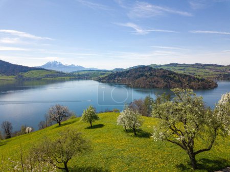 Aerial view of the Lake of Zug in central Switzerland with the famous Alpen peaks Rigi and Pilatus at the background in spring time
