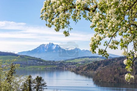 Vista de la montaña sobre el lago de Zug en el centro de Suiza con el famoso pico Alpen Pilatus al fondo en primavera