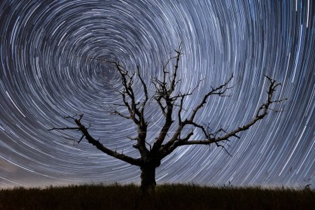 Senderos de estrellas sobre un viejo árbol solitario en la colina