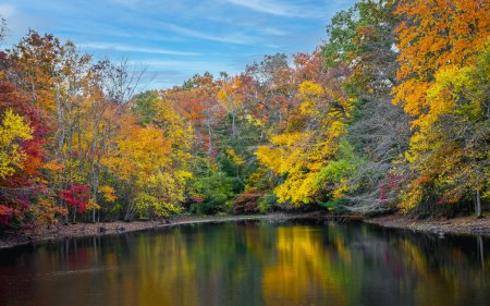 Foto de Vibrante follaje de otoño con vistas a este estanque en Allaire State Park en Nueva Jersey. - Imagen libre de derechos