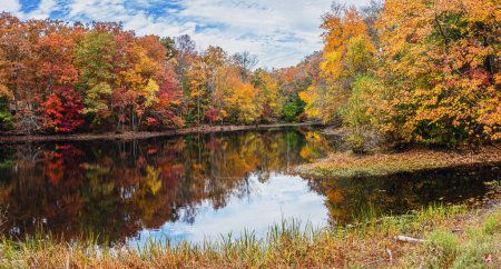 Foto de Una vista panorámica de las hojas de otoño reflexionando sobre el estanque en el Parque Estatal Allaire en Nueva Jersey. - Imagen libre de derechos