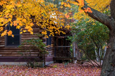 Foto de Una vista de otoño de una cabaña de troncos en Allaire State Park en Nueva Jersey. - Imagen libre de derechos