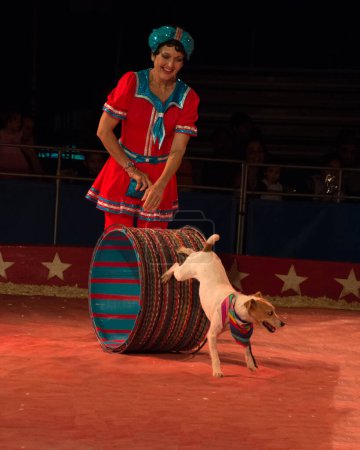 Photo for OLD BRIDGE, NEW JERSEY -JUNE 8 - A dog act with vintage 1920s clothing at the Kelly Miller Circus on June 8 2015 in Old Bridge New Jersey. - Royalty Free Image