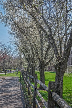 Foto de Florece la primavera en este parque en Manalapan New Jersey. - Imagen libre de derechos