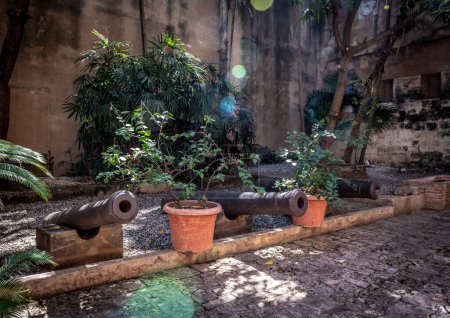 Téléchargez les photos : Les canons historiques de la ville coloniale dans cette cour de Saint-Domingue, République dominicaine. - en image libre de droit