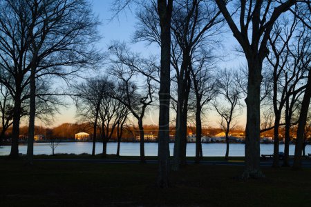 Téléchargez les photos : Silhouettes d'arbres dans Thompson Park sur le lac Manalapan dans le New Jersey. - en image libre de droit