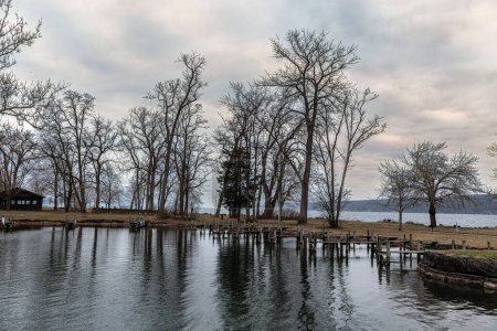 Bare tree refections on Cayuga Lake in the Finger Lakes region of New York.