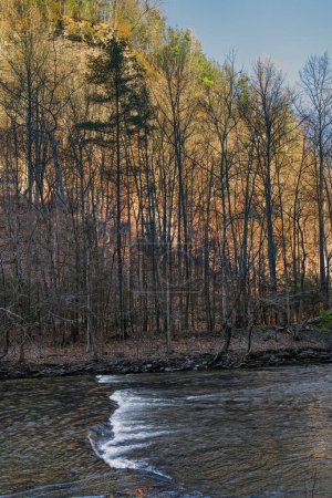 Téléchargez les photos : Un ruisseau le long du sentier Gorge dans le parc d'État de Taughannock Falls dans la région de Finger Lakes dans l'État de New York. - en image libre de droit