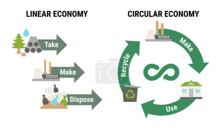 Vergleich von linearer und Kreislaufwirtschaft. Schema des Produktlebenszyklus vom Rohstoff zur Produktion, zum Verbrauch, zum Recycling anstelle von Abfall. Flache Linienvektorabbildung