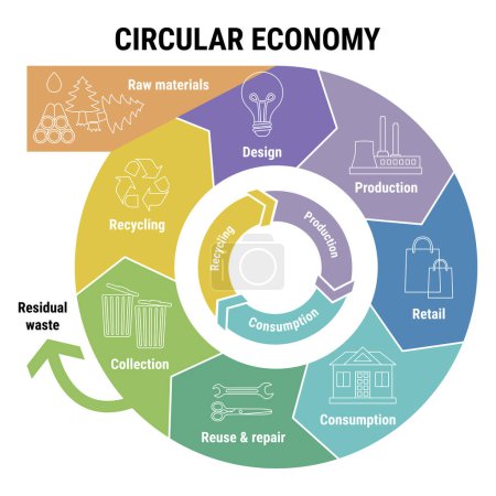 Infografik zur Kreislaufwirtschaft auf buntem Diagramm. Nachhaltiges Geschäftsmodell. Schema des Produktlebenszyklus vom Rohstoff bis zur Produktion, Verwendung, Recycling. Flache Linienvektorabbildung