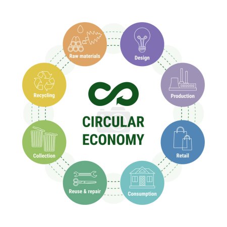 Kreislaufwirtschaft Infografik in bunten Symbolen Diagramm. Nachhaltiges Geschäftsmodell. Schema des Produktlebenszyklus vom Rohstoff bis zur Produktion, Verwendung, Recycling. Flache Linienvektorabbildung
