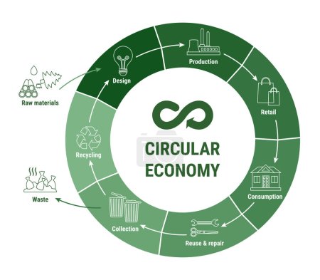 Infografik zur Kreislaufwirtschaft auf grünem Diagramm. Nachhaltiges Geschäftsmodell. Schema des Produktlebenszyklus vom Rohstoff zur Produktion, zum Verbrauch und zum Recycling. Flache Linienvektorabbildung