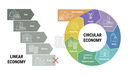 Vergleich von linearer und Kreislaufwirtschaft. Schema des Produktlebenszyklus vom Rohstoff zur Produktion, zum Verbrauch, zum Recycling anstelle von Abfall. Flache Linienvektorabbildung