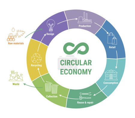 Infografik zur Kreislaufwirtschaft auf buntem Diagramm. Nachhaltiges Geschäftsmodell. Schema des Produktlebenszyklus vom Rohstoff zur Produktion, zum Verbrauch und zum Recycling. Flache Linienvektorabbildung