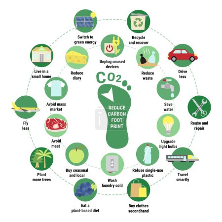 Illustration for Carbon footprint circle infographic. Tips for reducing your personal carbon footprint. How to decrease CO2e infographic. Save the planet and environment improvement concept. Flat vector illustration. - Royalty Free Image