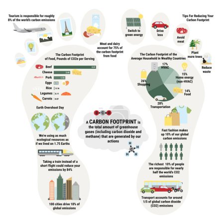 Ilustración de Infographic of carbon footprint of household.  Greenhouse gases contribution from food. Tips for reducing your personal carbon footprint. Environmental concept. True data. Flat vector illustration. - Imagen libre de derechos