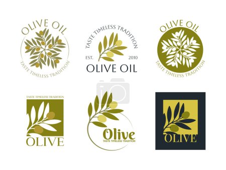 Téléchargez les photos : Ensemble de logos vectoriels de branche d'olivier avec des feuilles. icônes d'huile d'olive vectorielle dessinée à la main moderne. Concept de marque pour la société d'huile d'olive, bio, produits d'huile respectueux de l'environnement, bien-être, services culinaires - en image libre de droit