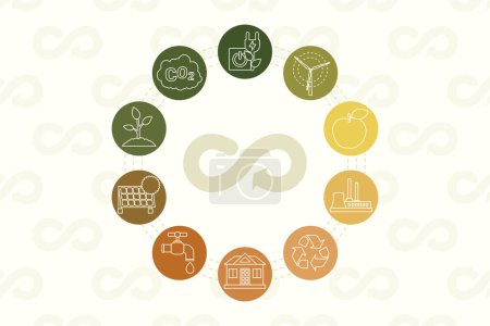 Circular economy concept. Scheme of icons representing ecofriendly practices like carbon neutral, zero waste, green energy and recycling. Ecological infographic. Flat line vector icons