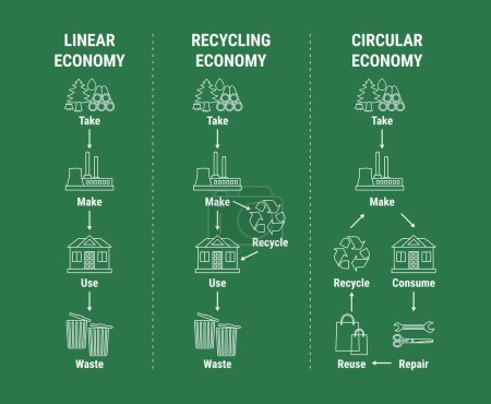 Téléchargez les illustrations : Comparaison des infographies linéaires, de recyclage et d'économie circulaire. Modèle économique durable. Schéma du cycle de vie des produits, de la matière première à la production et au recyclage au lieu des déchets. Vecteur plat - en licence libre de droit