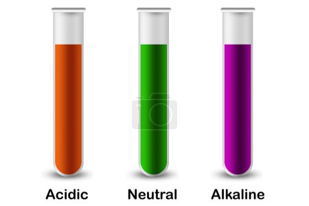 Color del tornasol en ácido, álcali y pH neutro, renderizado 3d