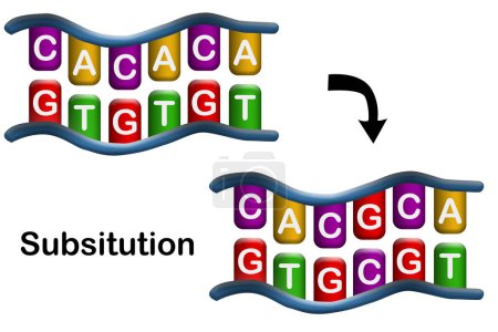 Téléchargez les photos : Mutation de substitution, erreur lors de la réplication de l'ADN, rendu 3d - en image libre de droit