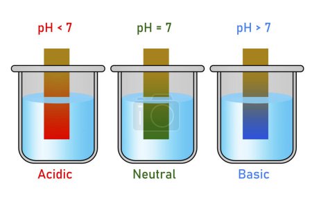 PH paper indicator with acidic, neutral and basic solutions, 3d rendering