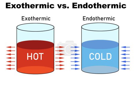 Exothermic and endothermic reactions in chemistry, 3d rendering