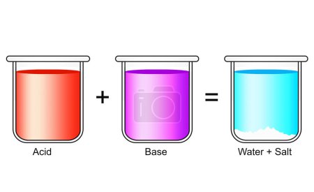 Acid base reaction to form water and salt, 3d rendering