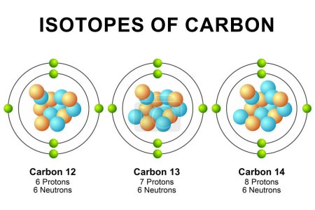 Isotopes of carbon diagram isolated, 3d rendering