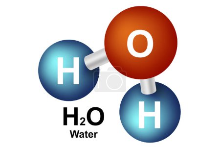 Structure moléculaire de l'eau isolée sur fond blanc, rendu 3d