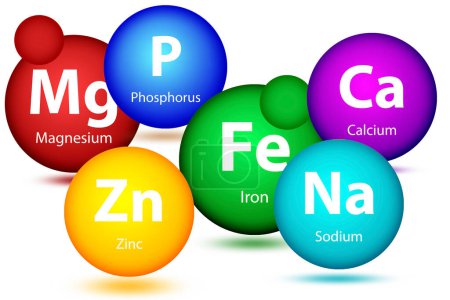 Foto de Minerales químicos esenciales o elementos dietéticos para el cuerpo humano, 3d rendering - Imagen libre de derechos
