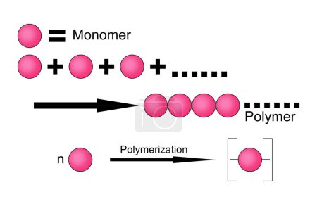 Foto de Diagrama de reacción de polimerización aislado en blanco, renderizado 3d - Imagen libre de derechos