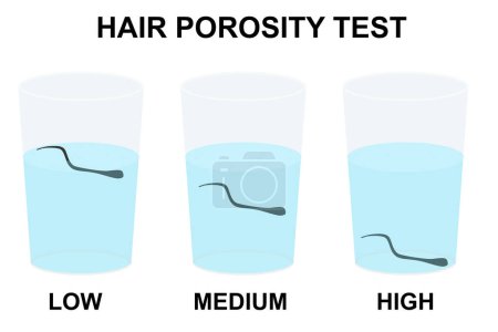 Infografías de prueba de flotador de porosidad natural del cabello, renderizado 3d