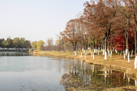 Vue du parc écologique des zones humides de Bacheng à Suzhou, en Chine, pendant la session d'automne.