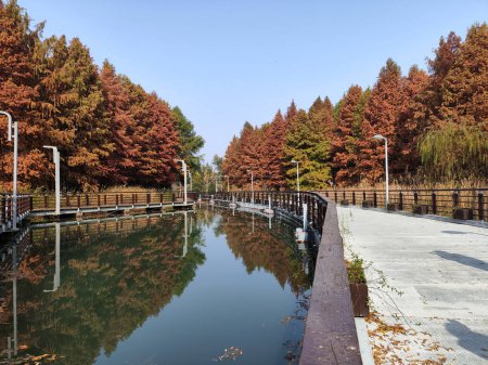 Belle vue sur le parc écologique des zones humides de Bacheng pendant la session d'automne. Il se trouve sur la rive est du lac Yangcheng à Suzhou, en Chine.
