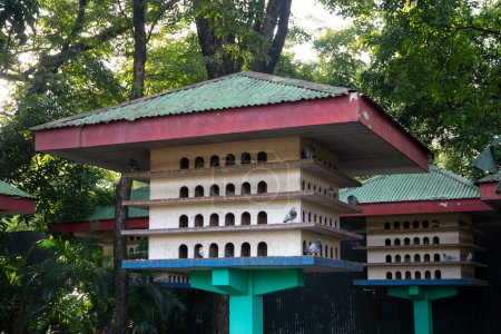 Wooden pigeon loft or house inside the park.