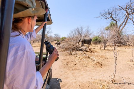 Bei einer Safari in Afrika einen Elefanten ganz nah aus einem Jeep beobachten