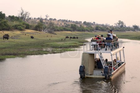 Foto de Crucero en barco en el parque nacional Chobe. Un canal entre Botsuana del Norte y Namibia. Un cierre a la vida silvestre. - Imagen libre de derechos