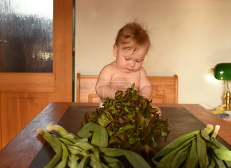 Photo for Baby girl with big bunch of lettuce at home - Royalty Free Image