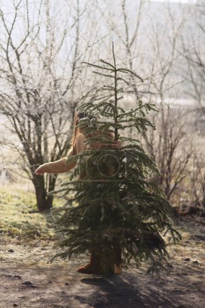 Téléchargez les photos : Fille derrière sapin dans forêt d'hiver - en image libre de droit