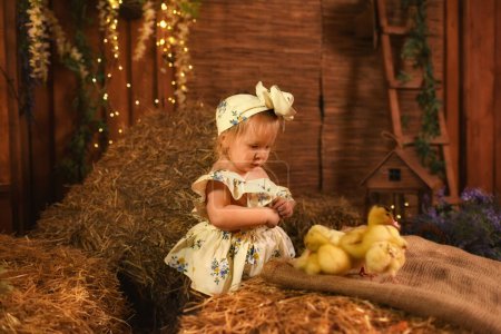 Photo for Beautiful little girl playing with ducklings and chicks - Royalty Free Image
