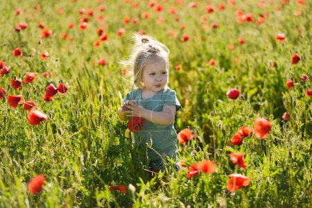 Téléchargez les photos : Portrait d'une petite fille sur fond de fleurs de pavot. heure d "été. - en image libre de droit