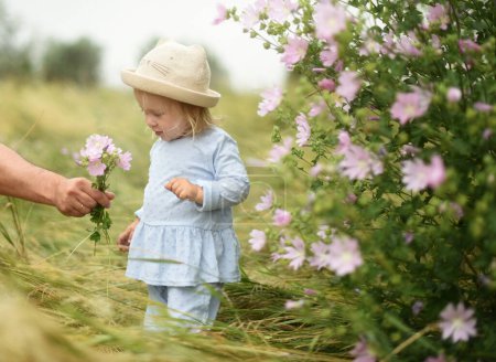 Foto de La niña hermosa está caminando en el campo. Paseos de verano por los campos con flores - Imagen libre de derechos