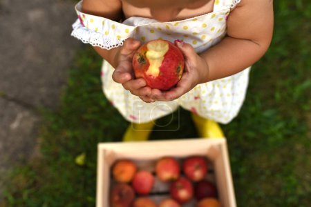 Foto de Botas de goma chica con manzana en el jardín - Imagen libre de derechos