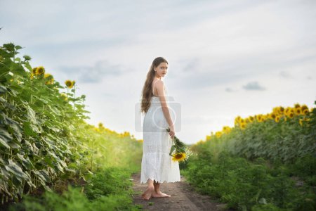 Téléchargez les photos : Une belle fille se promène dans un champ avec des tournesols. Une fille aux cheveux longs et à la robe blanche. Champ fleuri de tournesols. Fille avec des fleurs dans ses mains - en image libre de droit