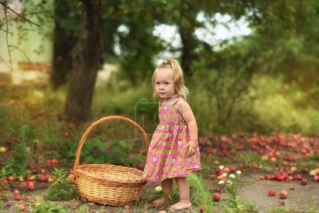 Photo for Little beautiful girl in the garden with apples. child picking apples - Royalty Free Image