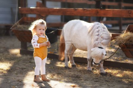Foto de Una niña pequeña y hermosa se encuentra junto a un pony blanco - Imagen libre de derechos