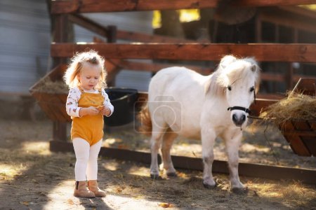 Foto de Una niña pequeña y hermosa se encuentra junto a un pony blanco - Imagen libre de derechos