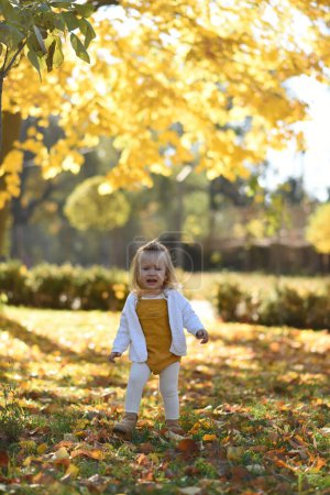 Téléchargez les photos : Heureux bébé fille jouer avec automne feuilles dans le parc - en image libre de droit